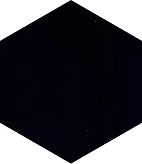 ShadeFlex Canopy Color Black